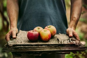 a man hlding several planks of wood that has four red apples ontop 