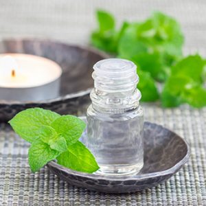 Small vial with a mint spring in a tortuios colored bowl. Behind it a tea candle in a similar bowl with more mint leaves. 